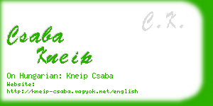 csaba kneip business card